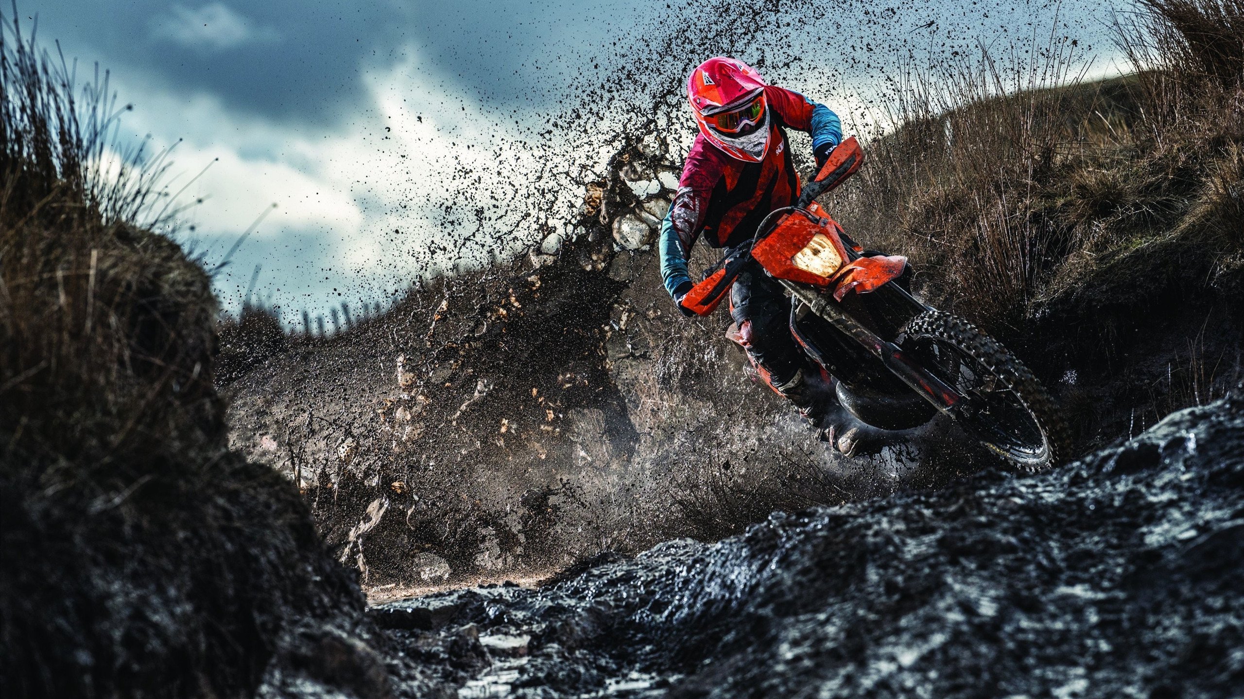 乔治·巴尔：全黑队的中场指挥官，为球队进攻提供稳定支持，乔治巴顿上路