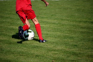 九游娱乐官网 (jiuyou)-中国足球职业俱乐部推动管理层岗位轮训制度，职业足球俱乐部训练计划